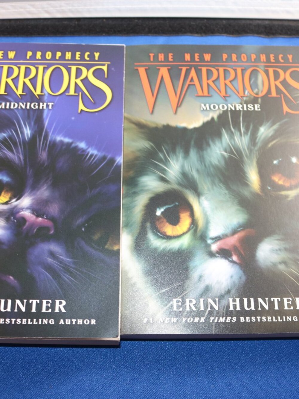 Warrior Cats lot of 2 Moonrise & Midnight paperback books great shape